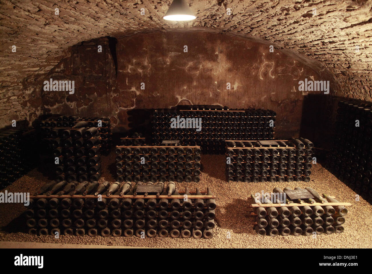 ALTE WEINE IN DEN KELLERN JADOT WEIN, COTE-D ' OR (21), BOURGOGNE, FRANKREICH Stockfoto