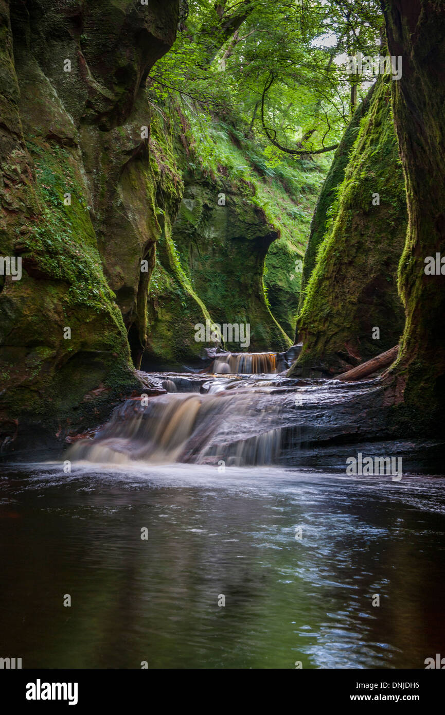 Die Schlucht am Finnich Glen, auch bekannt als Teufel Kanzel nahe Killearn Schottland Stockfoto