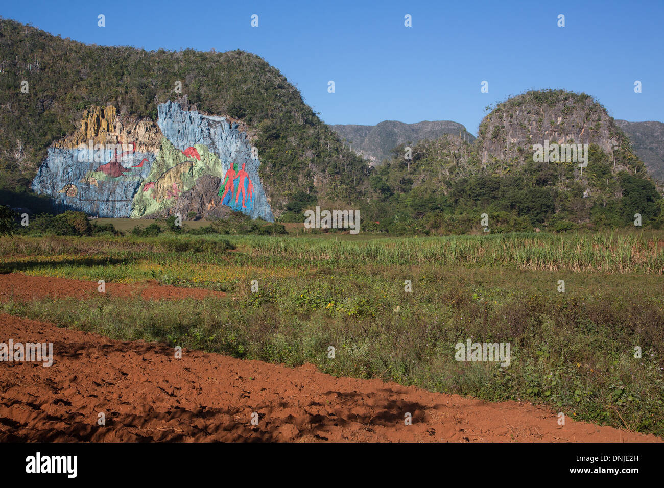 WANDBILD VON EVOLUTION, PRÄHISTORISCHE WANDMALEREI (MURAL DE LA PREHISTORIA) IM AUFTRAG VON FIDEL CASTRO IM JAHR 1961 AUF EINER STEIGUNG VON EINEM MOGOTE (BERGIGE KALKSTEIN HÜGEL), VINALES TAL, AUFGEFÜHRT ALS WELTKULTURERBE VON UNESCO, KUBA, KARIBIK Stockfoto