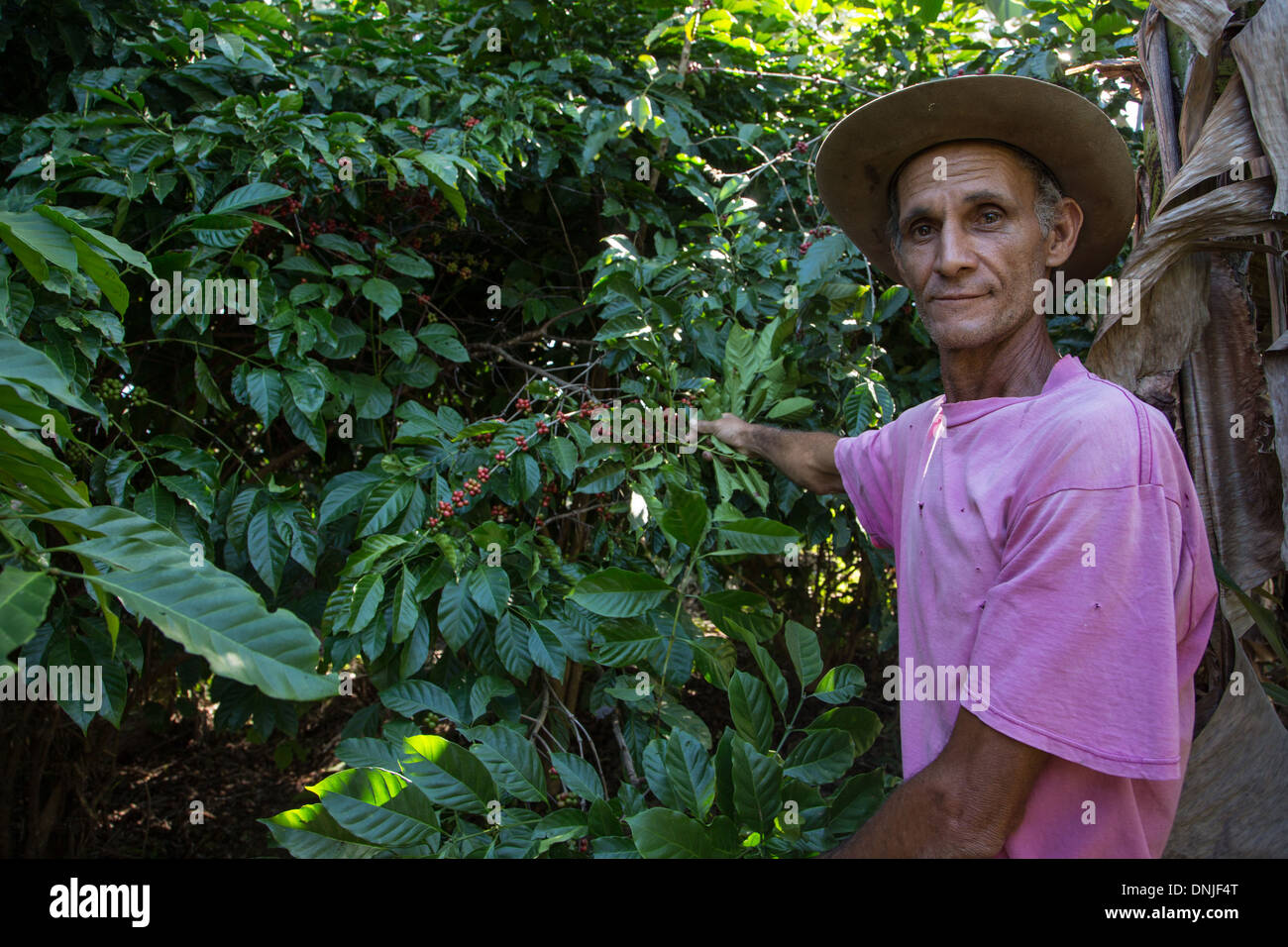 KNECHT AUF DER KAFFEEPLANTAGE, CASA GUACHINANGO, ALTEN 18. JAHRHUNDERT AUFGEFÜHRT HACIENDA LOS INGENIOS TAL, ALS EIN WELTKULTURERBE DER UNESCO, KUBA, KARIBIK Stockfoto