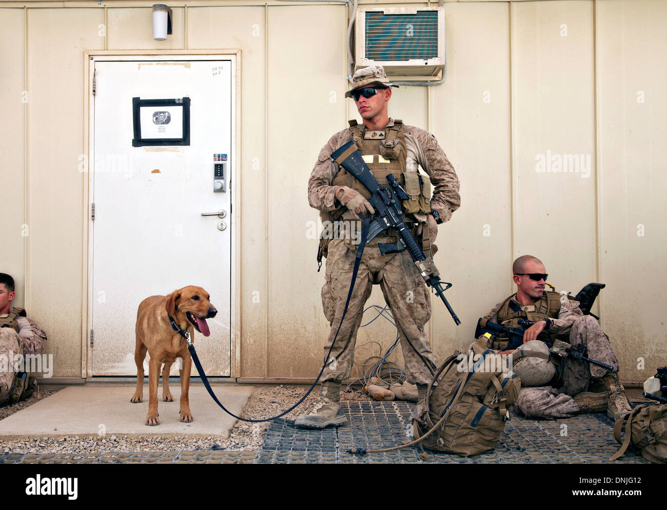US Marine Corps CPL. Timothy Vaillancourt und Salbei, eine improvisierte explosive Erkennung Hund warten, Mission Proben 10. Juli 2013 in Camp Leatherneck, Provinz Helmand, Afghanistan durchzuführen. Stockfoto