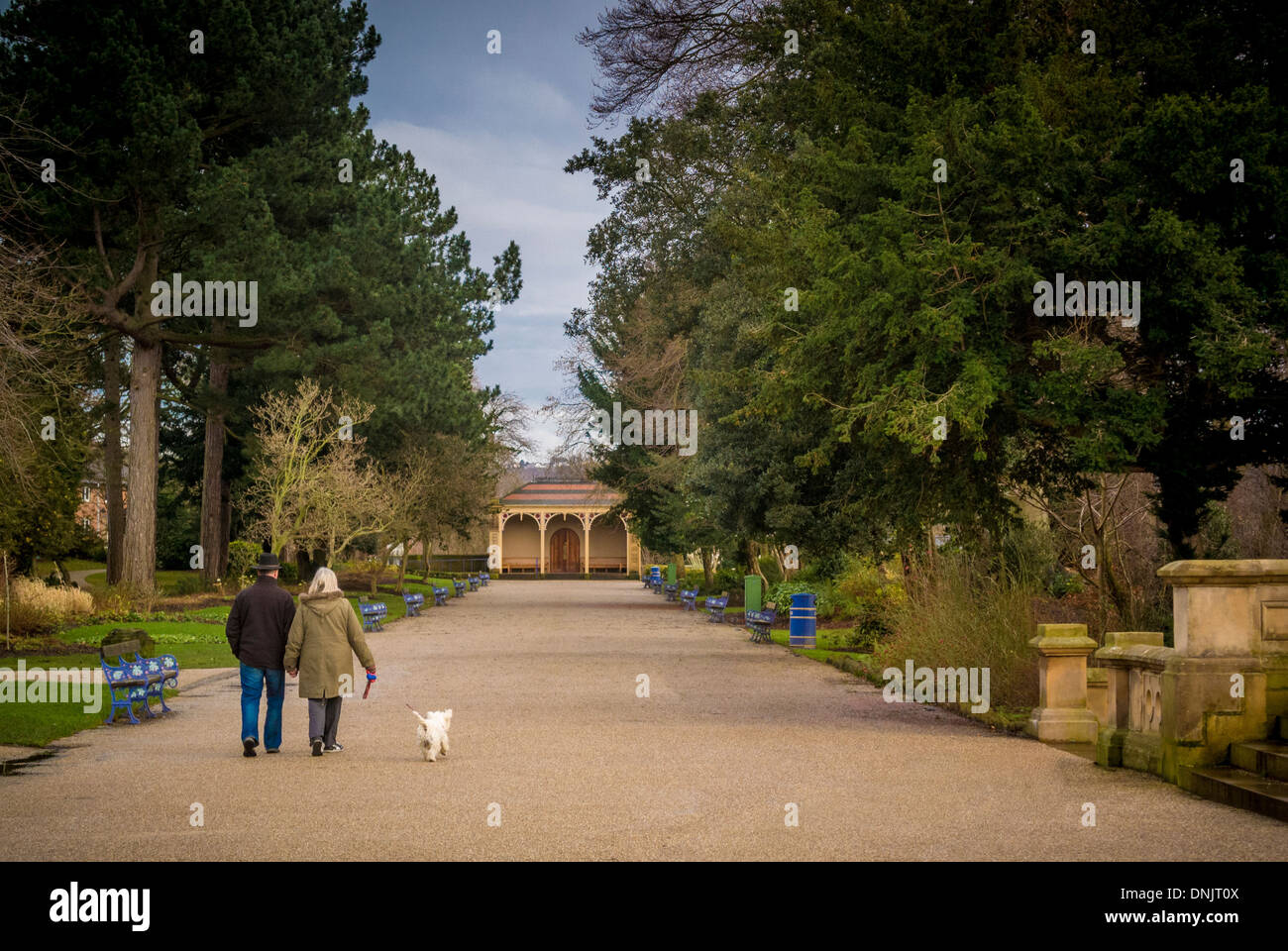 Paar walking Hund in Roberts Park, Saltaire, West Yorkshire. Stockfoto