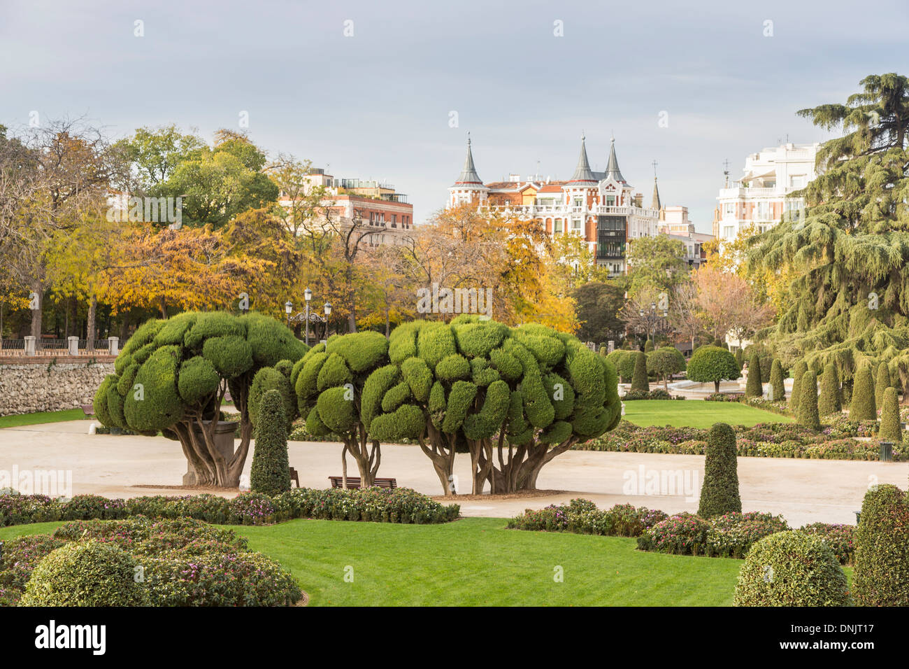 Blick auf Cloud beschnittene Büsche (formschnitt) in Retiro Park, Madrid, Spanien Stockfoto