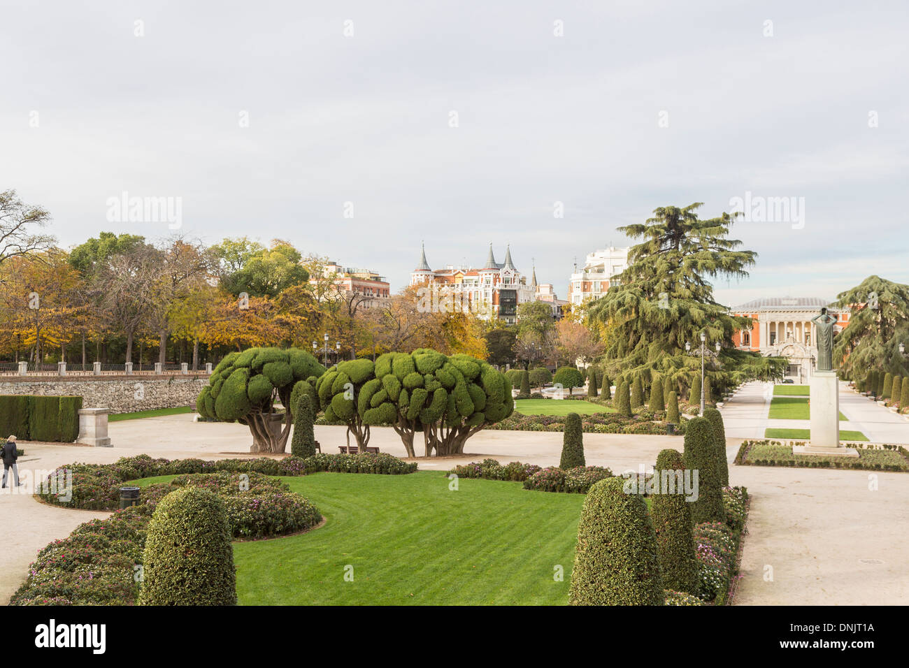 Cloud-gestutzten Büschen (Formschnitt) im Parque del Retiro, Madrid, Spanien Stockfoto