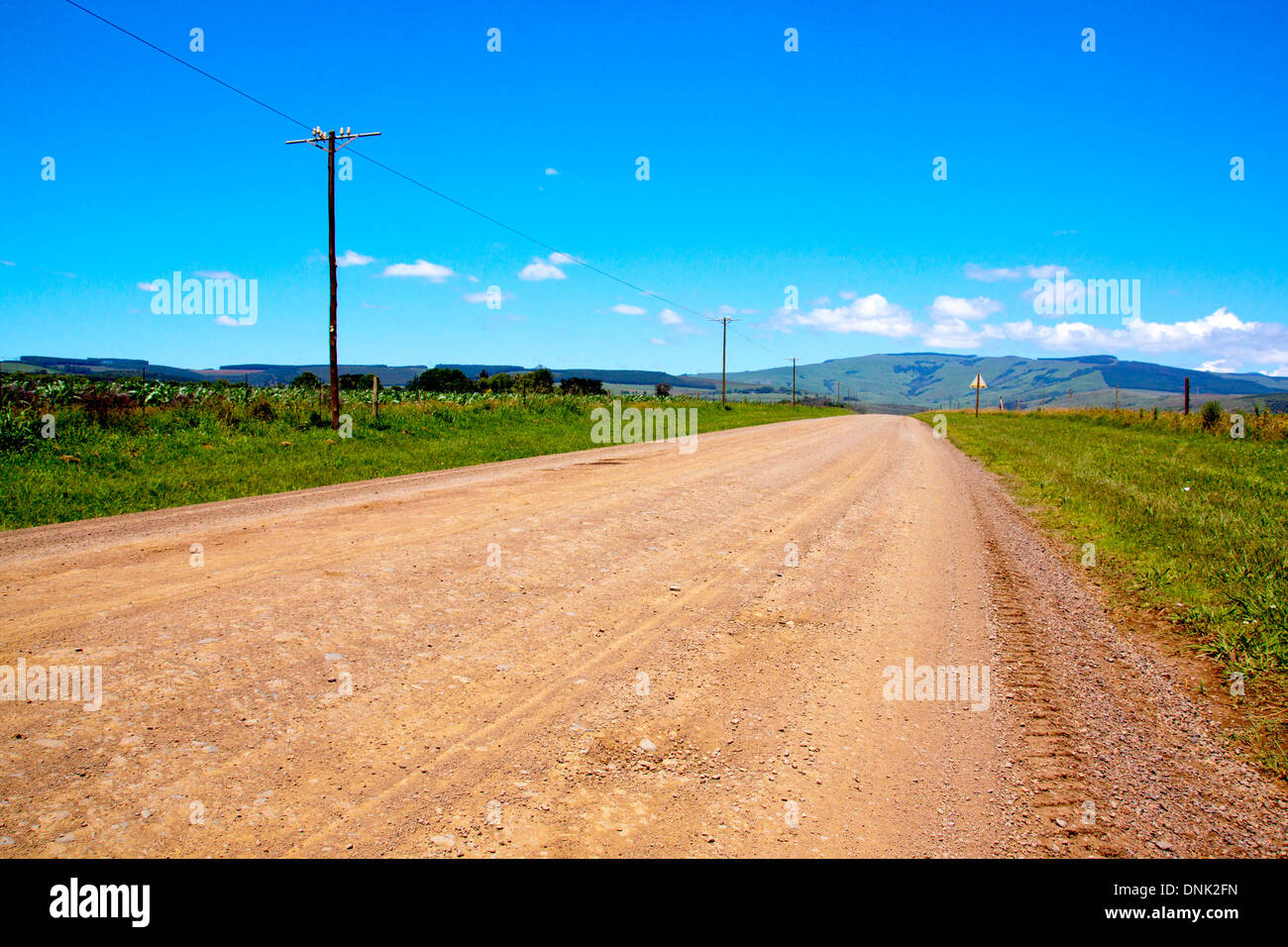 ländliche unbefestigte Straße flankiert von Maisfeldern Stockfoto