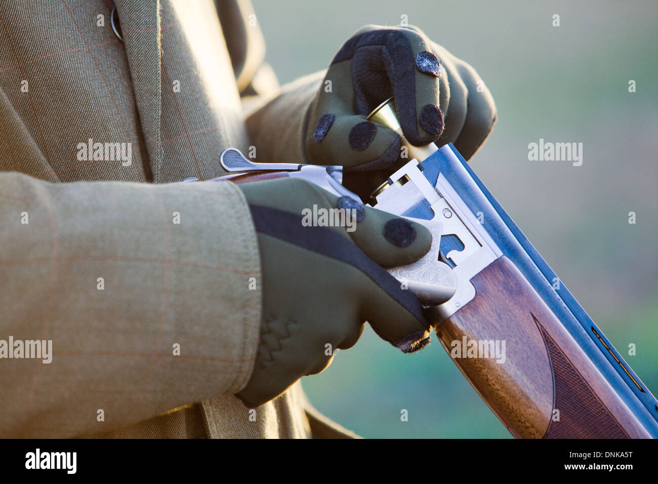 A Mann, laden 12 Bohrung oder Schrotflinte auf einem Fasan schießen in England zu messen Stockfoto