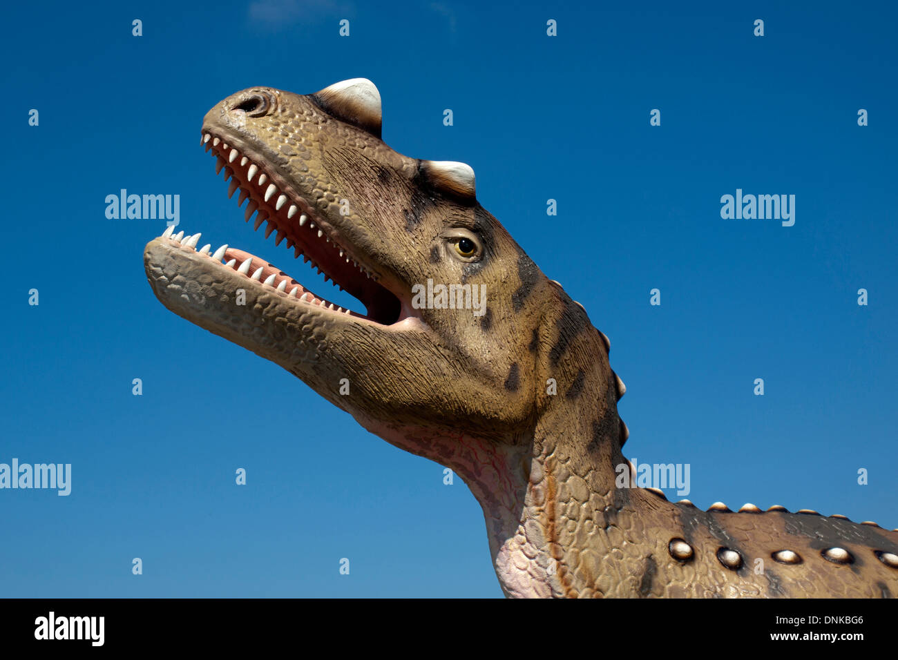 LEBA - 14 Juli: Porträt eines Dinosauriers, 14. Juli 2010 in Leba, Polen in die Park-Dinosaurier in Leba gemacht. Stockfoto