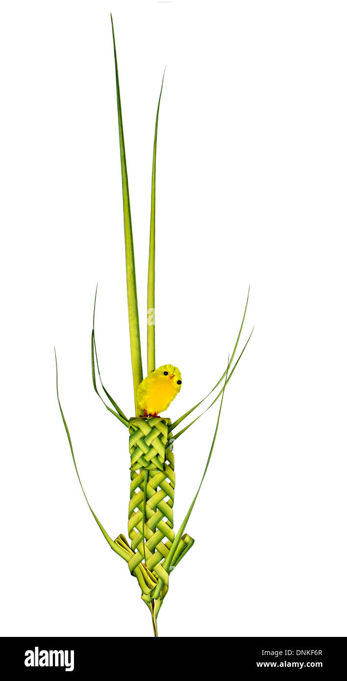 Osterküken auf Palm Leaf Dekoration - traditionell gewebt. Stockfoto
