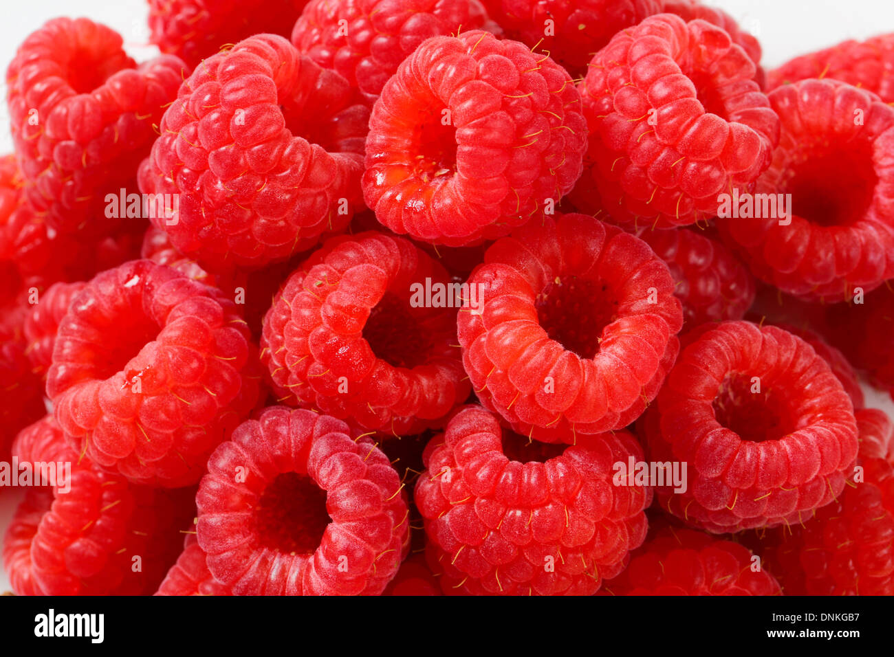 Studioaufnahme von frischen Himbeeren Stockfoto