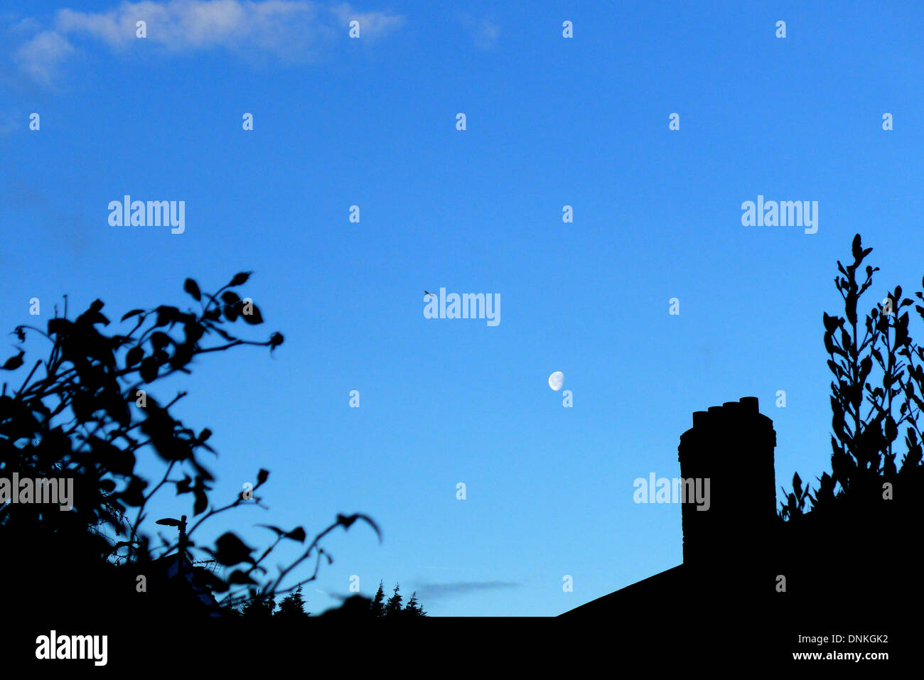 Blauen Abendhimmel mit Halbmond und Bäumen und Häusern in der Silhouette. Stockfoto