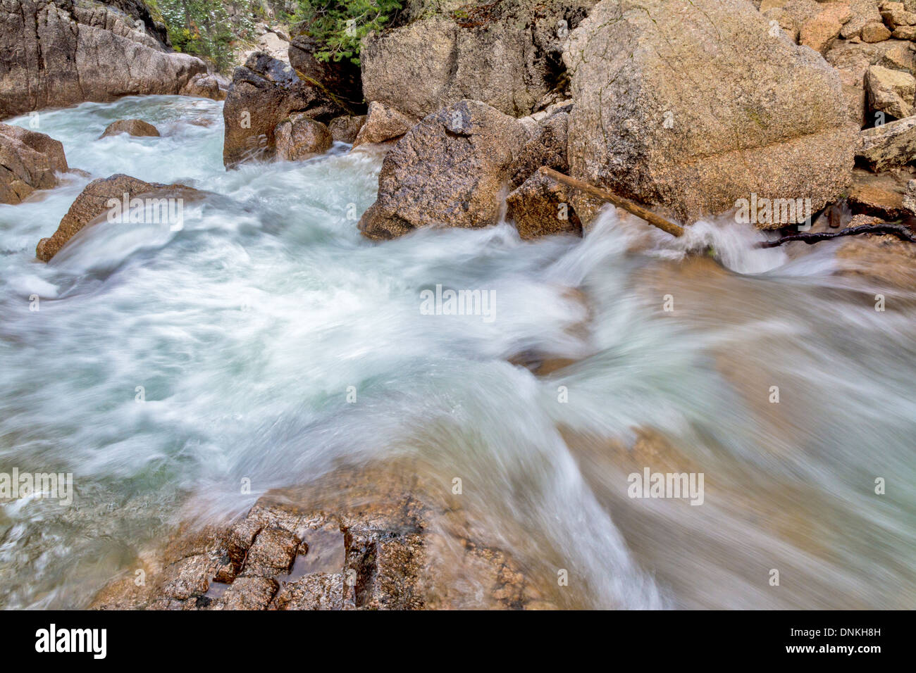 Wildwasser-Fluss fließt durch eine Schlucht Stockfoto