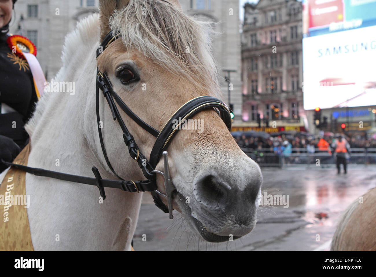 London, UK, 1. Januar 2014, Pferde trat der Londoner New Year's Day Parade 2014 Credit: Keith Larby/Alamy Live News Stockfoto