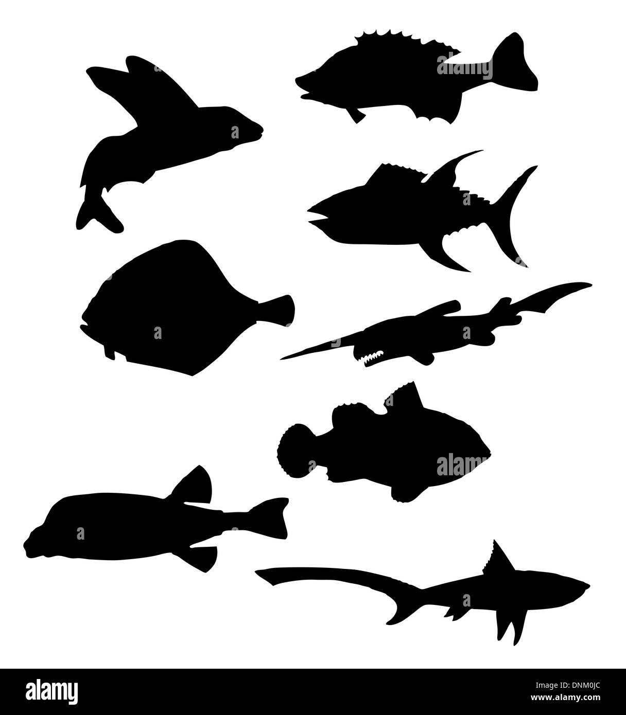 Sammlung von Vector schwarzen Silhouetten der verschiedenen Meer Fische Stock Vektor