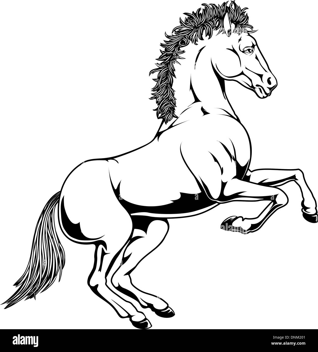 Ein Beispiel für einen schwarzen und weißen monochromen Pferd Aufzucht auf den Hinterbeinen Stock Vektor