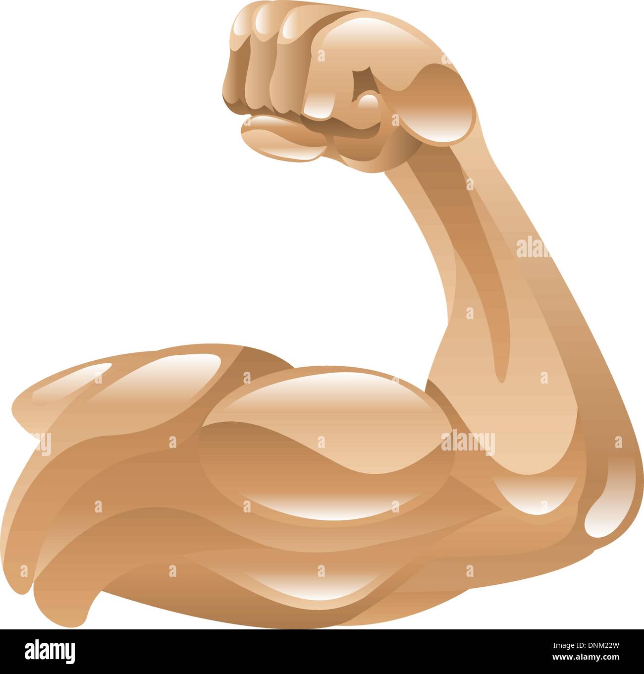 Abbildung von einem starken Arm mit Muskeln Stock Vektor