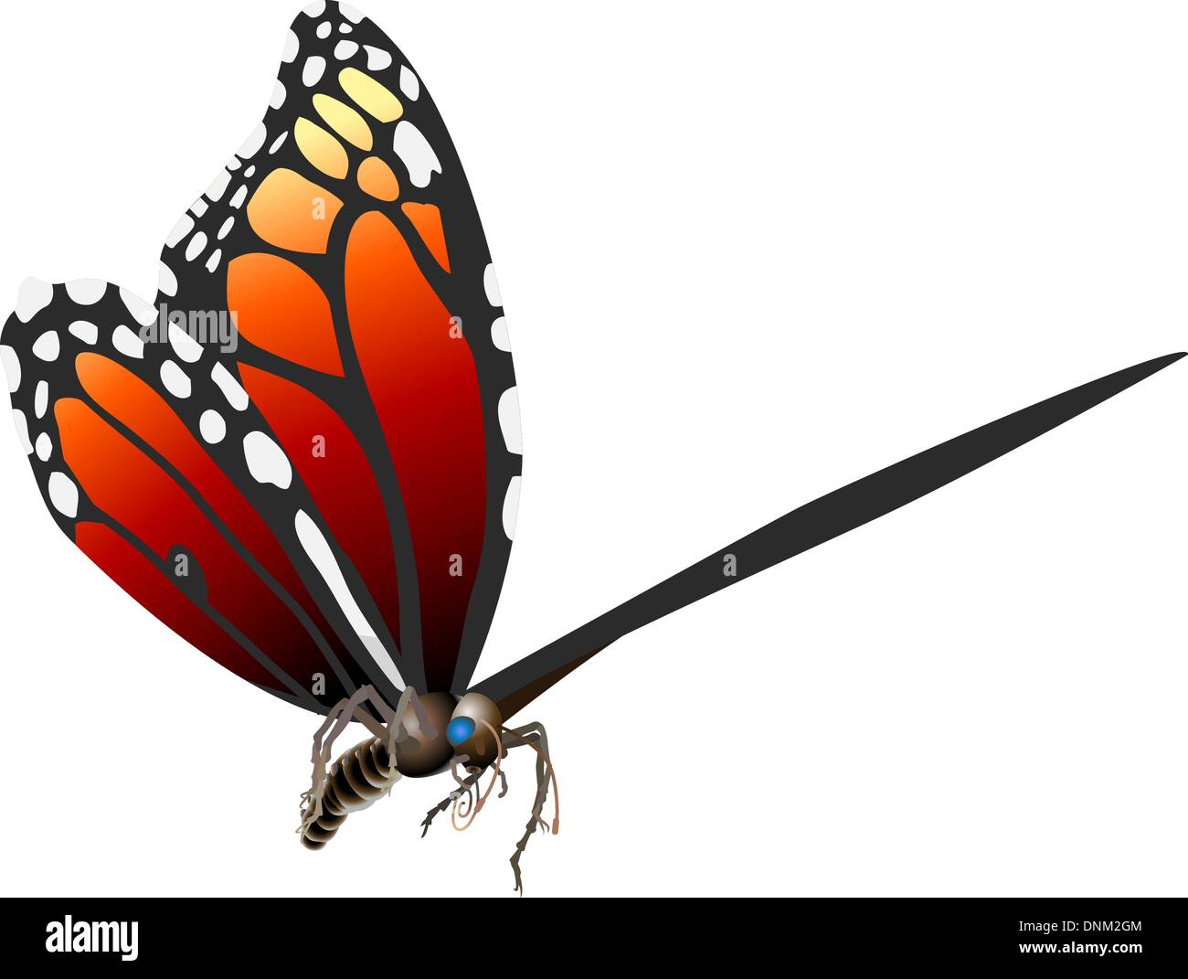 Ein Schmetterling. Vektorgrafiken in Adobe Illustrator 8 EPS-Format. Kann auf jede Größe ohne Qualitätsverlust skaliert werden. Stock Vektor