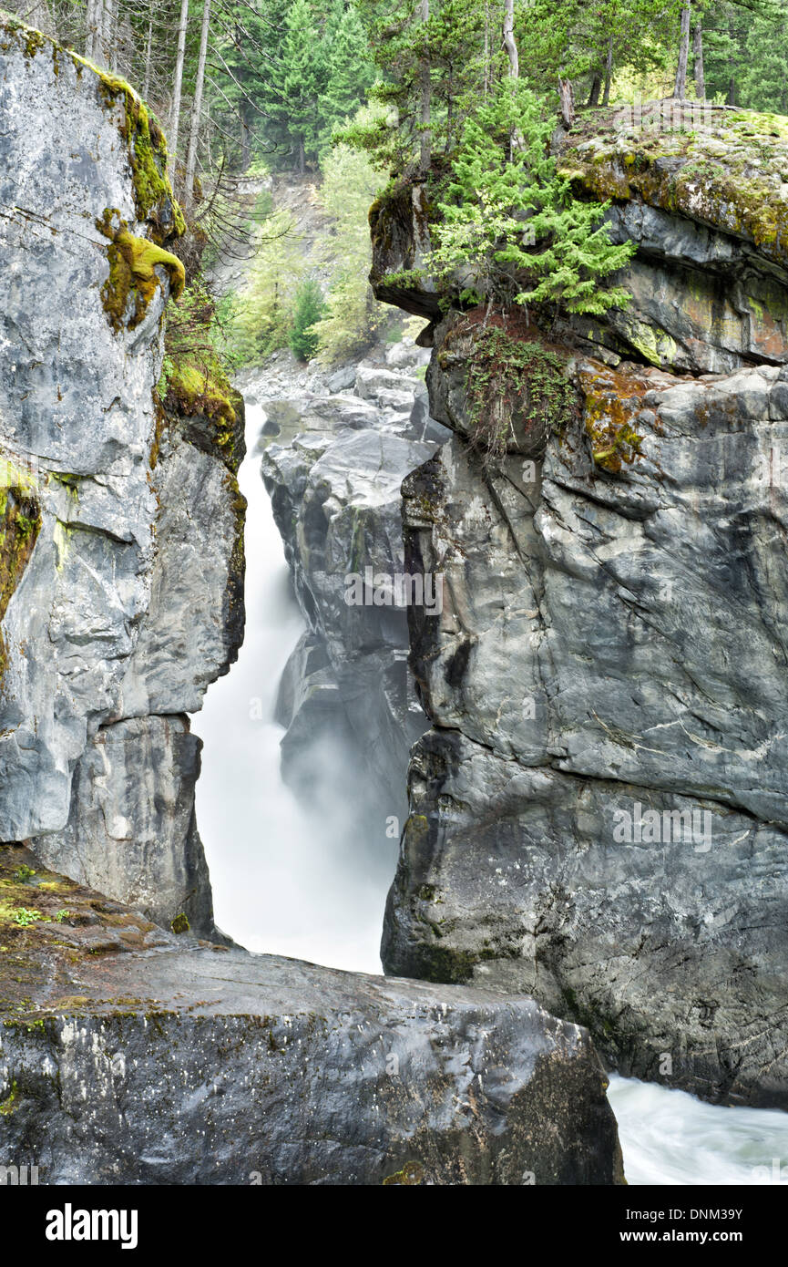 Nairn Falls Provincial Park, BC, Kanada Stockfoto