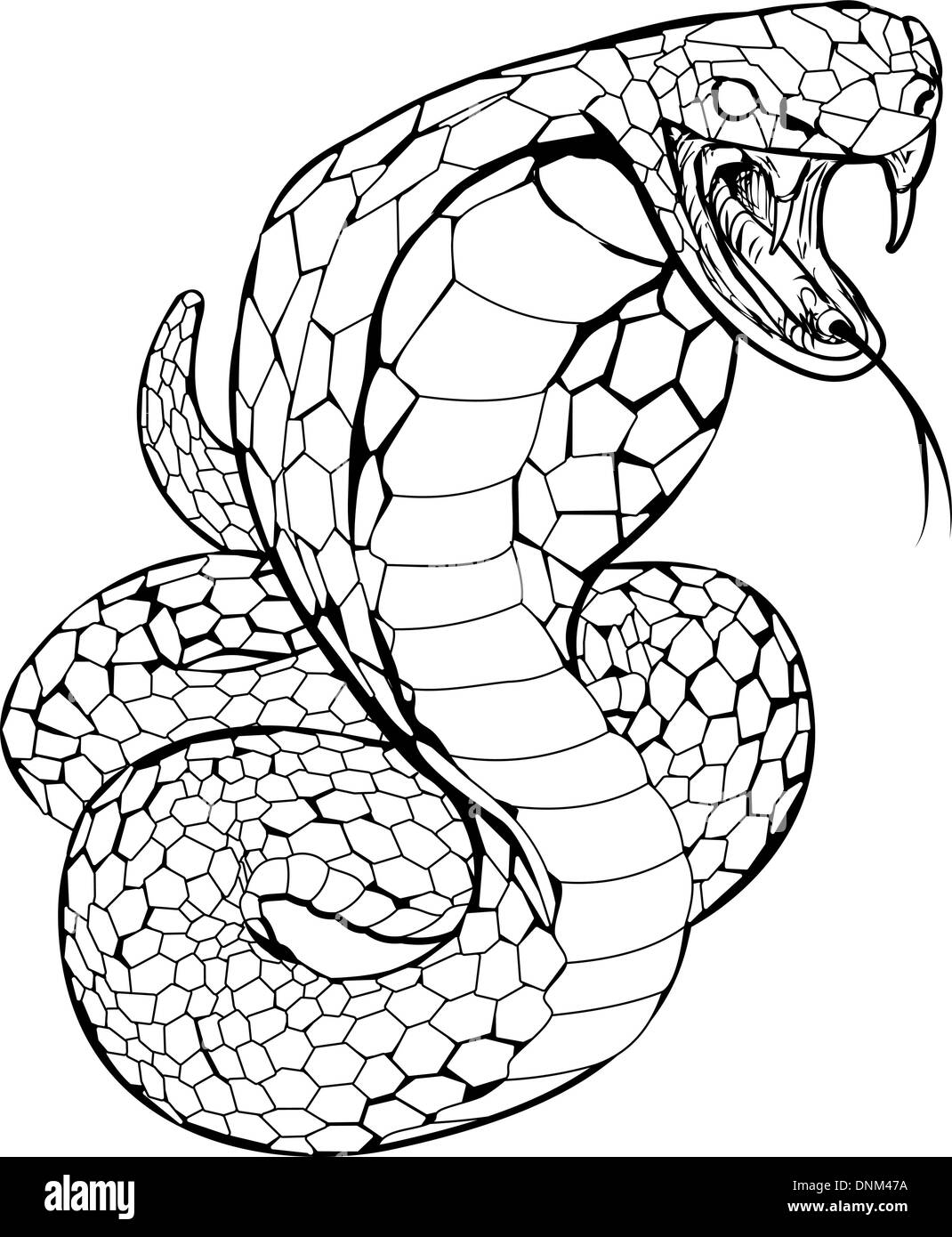 Schwarz / weiß Darstellung einer Kobra Schlange Streik wird vorbereitet Stock Vektor