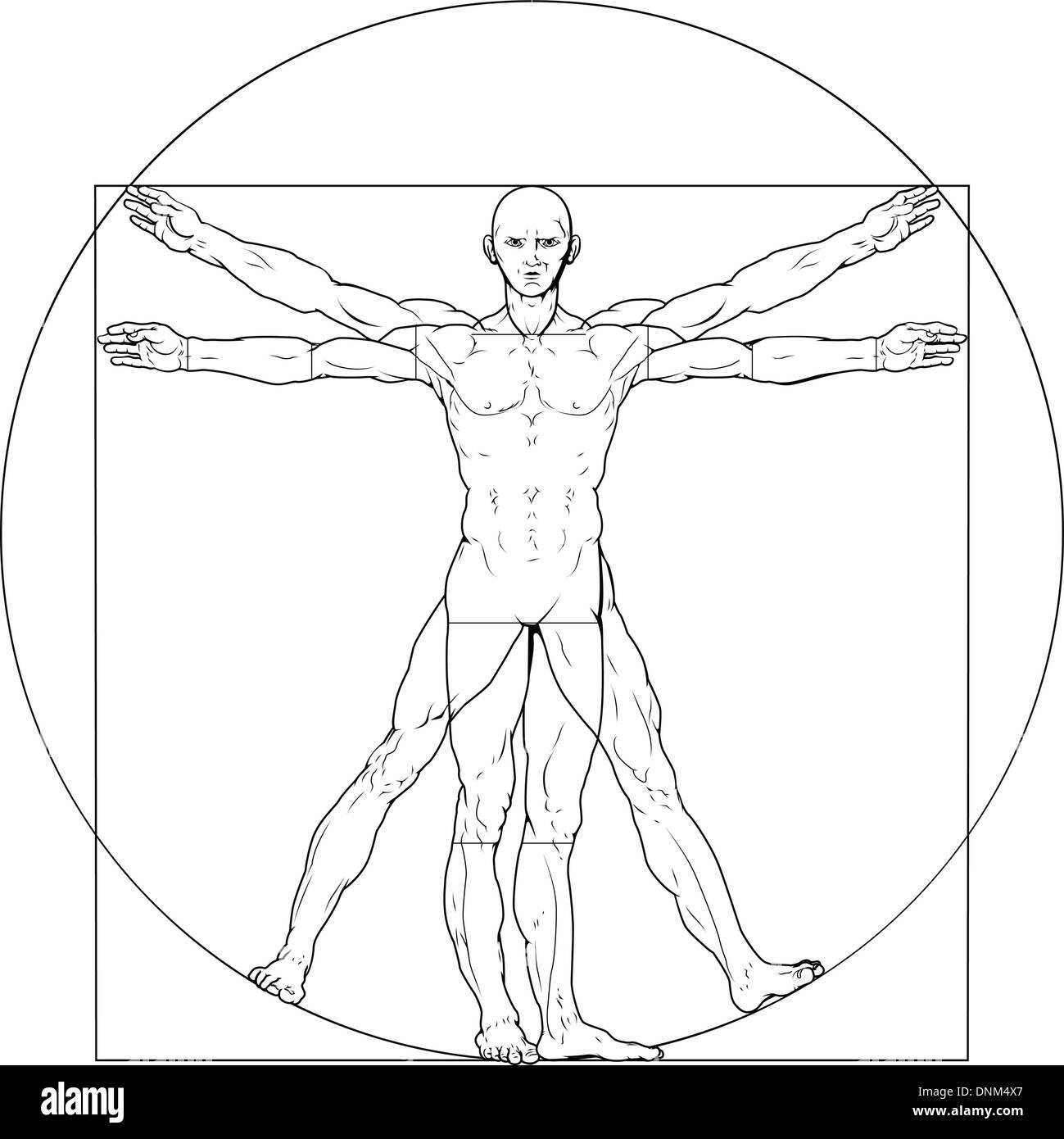 Abbildung basierend auf Leonardo da Vincis klassische Vitruvian Mann Stock Vektor
