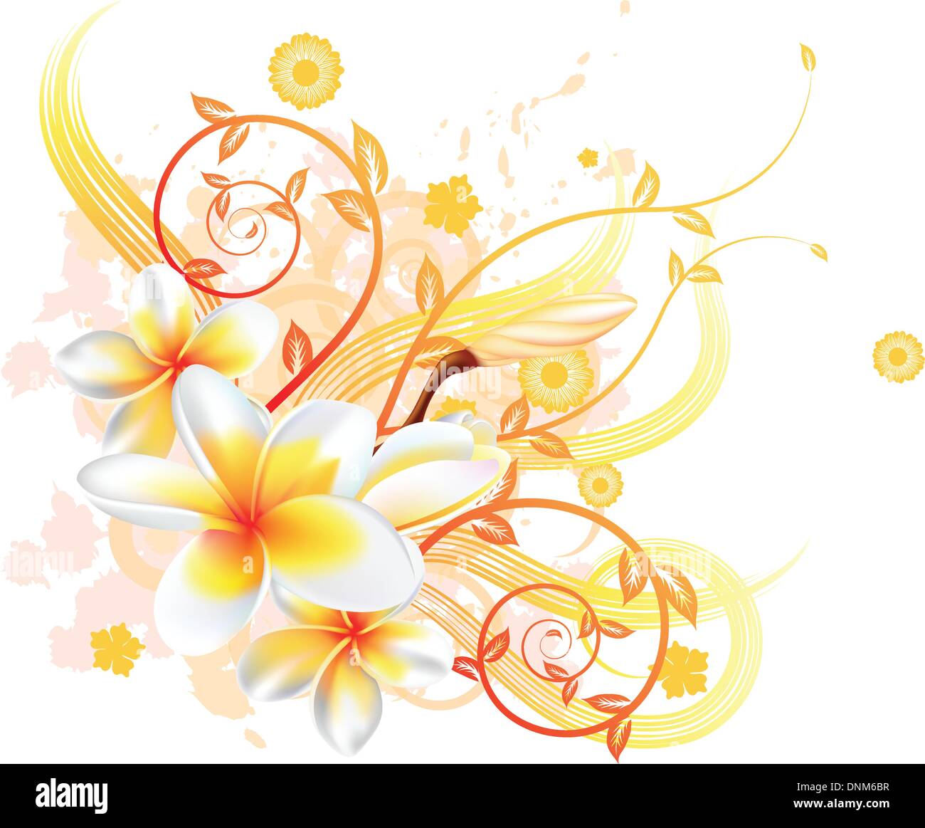 Eine sehr stilvolle Blumenkarte Vektorgrafik mit Plumeria Frangipani Blüten. Stock Vektor