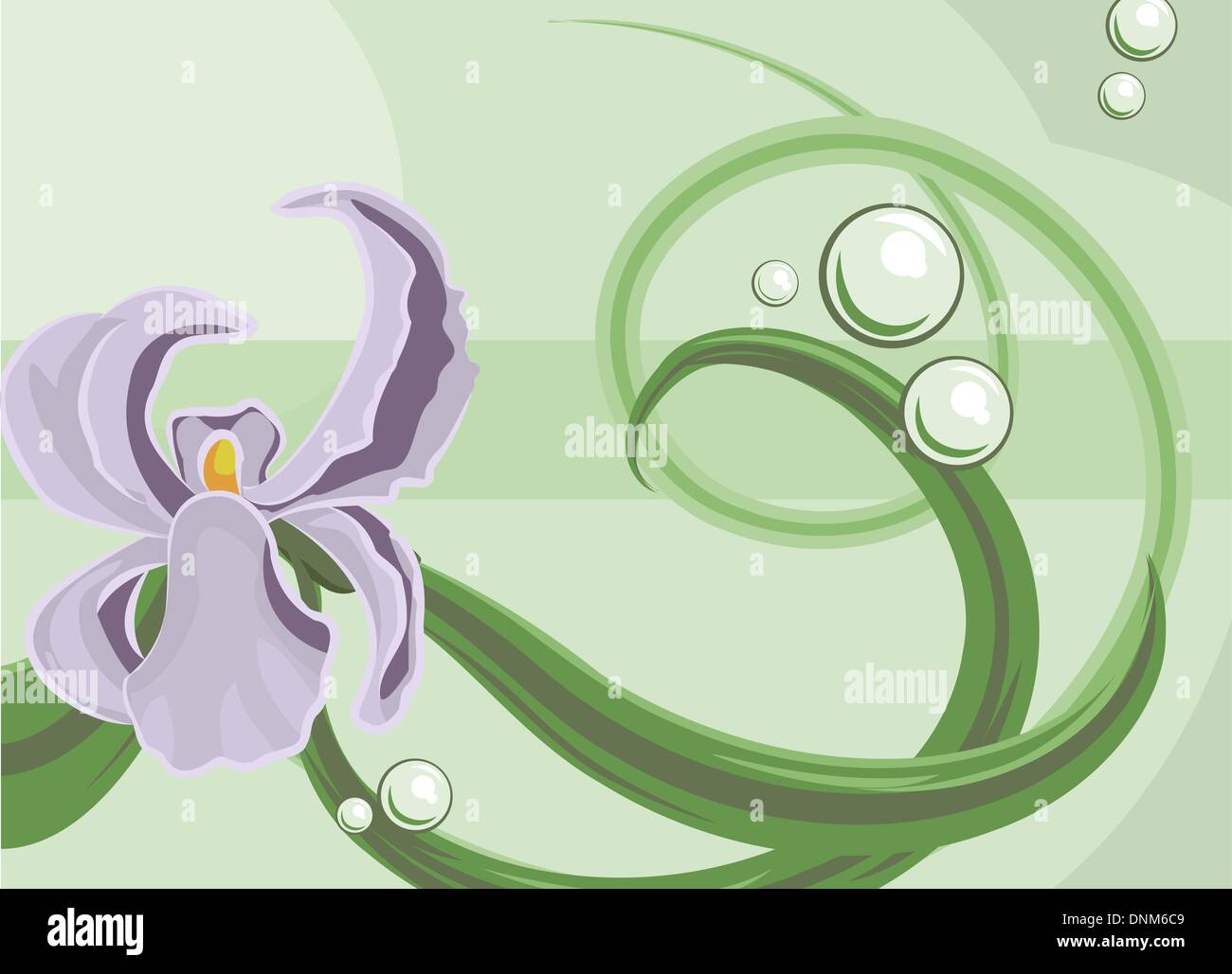 Eine Orchidee Hintergrund Stock Vektor