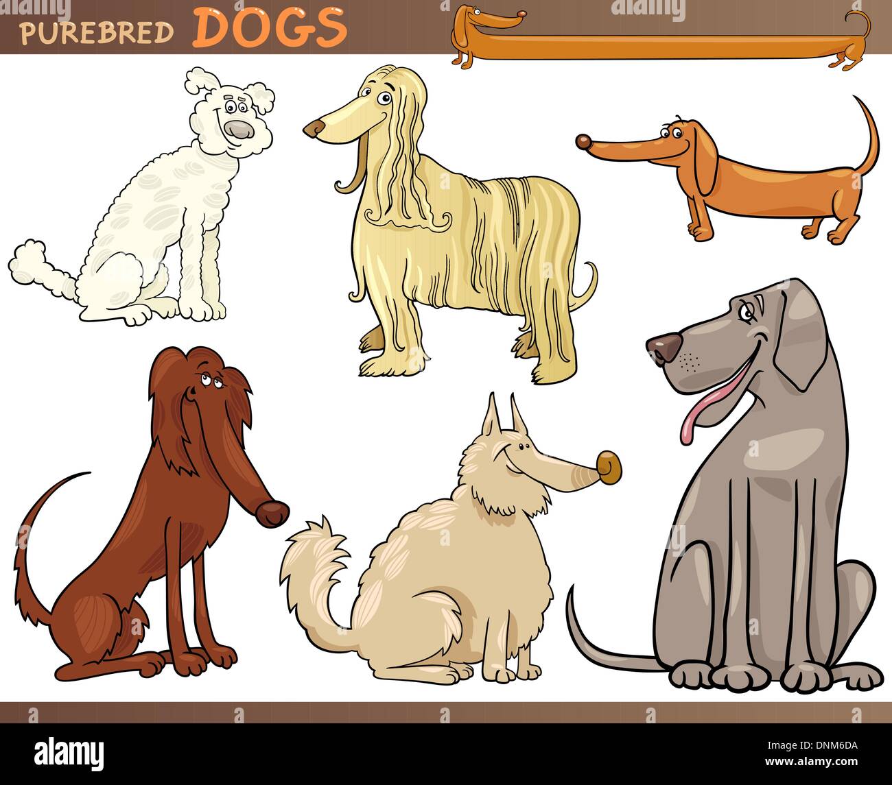 Cartoon Comic-Illustration von Hunderassen oder reinrassige Hunde Set Stock Vektor