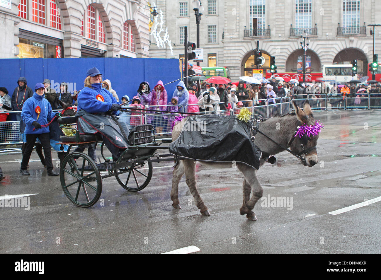 London, UK, 1. Januar 2014, kleiner Esel und Wagen nahmen an der Londoner New Year's Day Parade 2014 Credit: Keith Larby/Alamy Live News Stockfoto