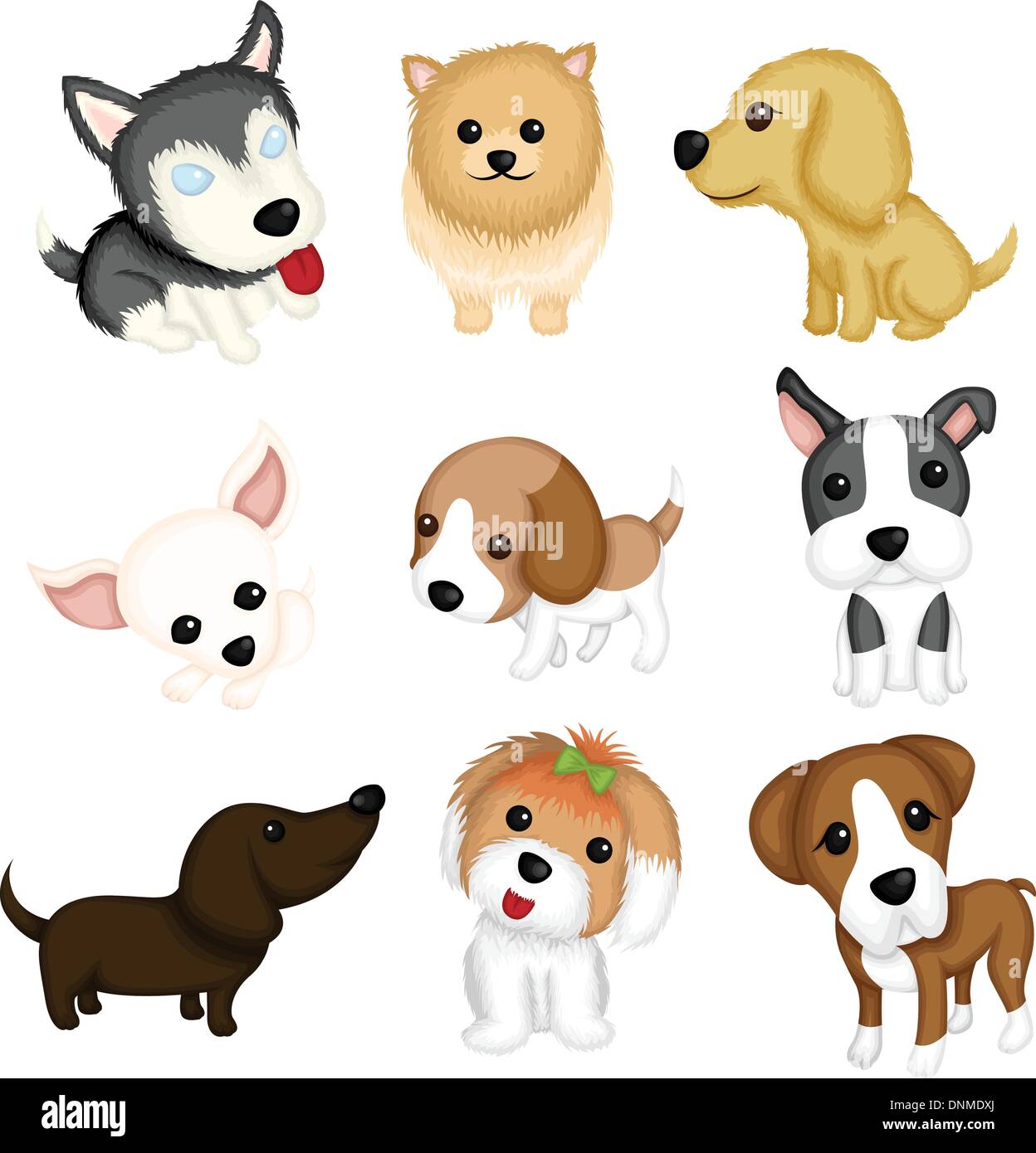 Eine Vektor-Illustration der verschiedenen Hunderassen Stock Vektor
