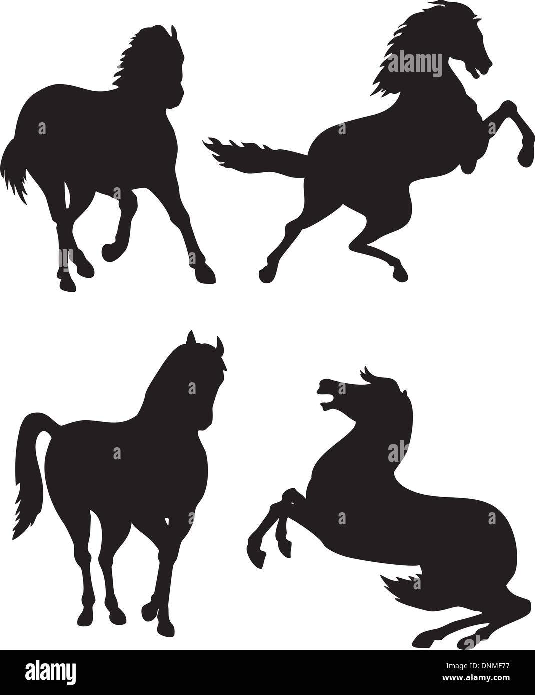 Illustration der Pferde Silhouetten in verschiedenen Positionen auf einem weißen Hintergrund isoliert. Stock Vektor