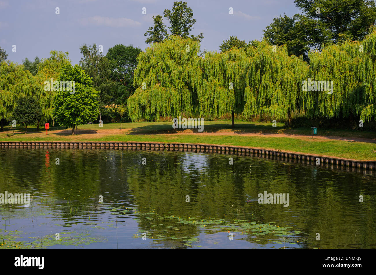 Fluß Avon Stratford-upon-Avon Warwickshire England uk Stockfoto