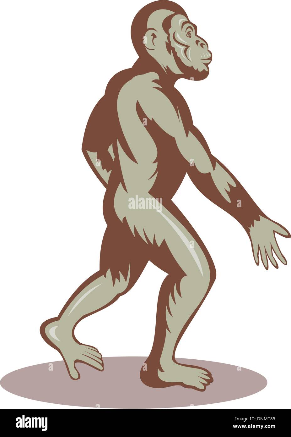 Abbildung eines Urmenschen oder Ape aufrechten Stock Vektor