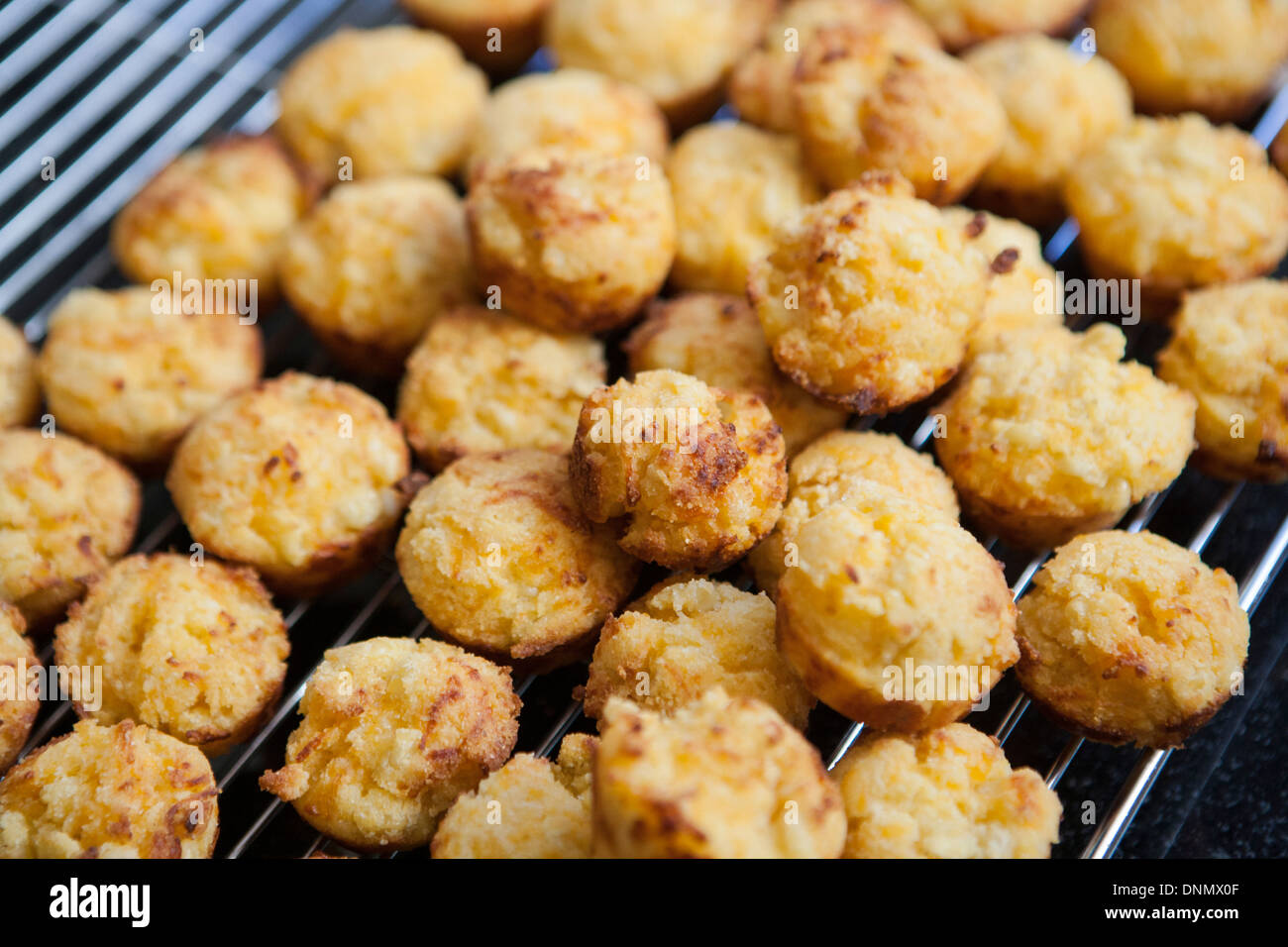 Mini-Käse-Muffins auf Rack-Kühlung Stockfoto