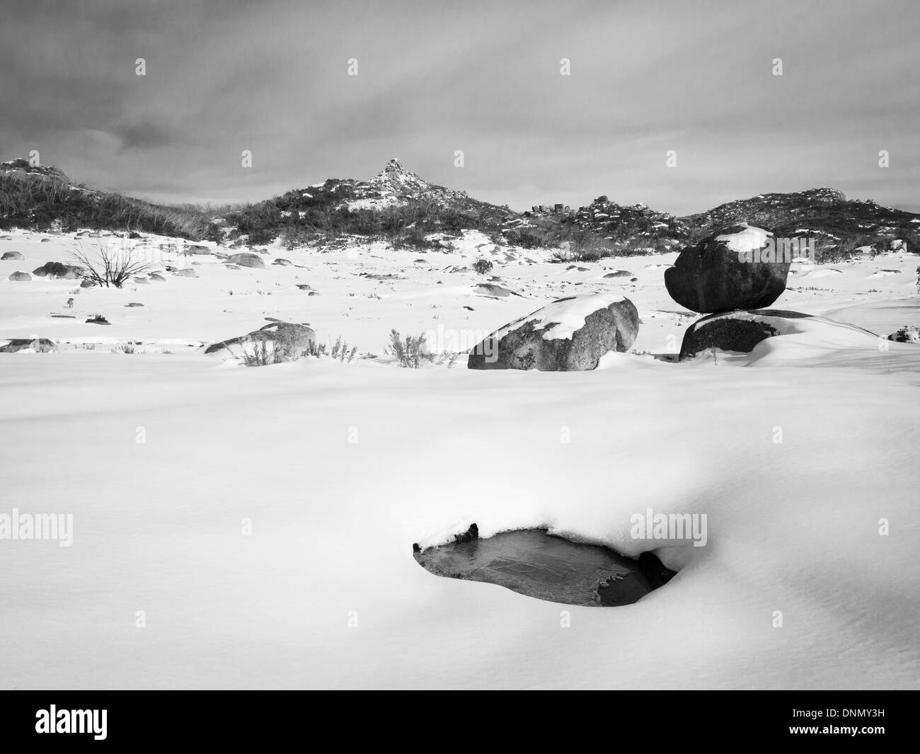 Winter am Mt Buffalo, Australien Stockfoto