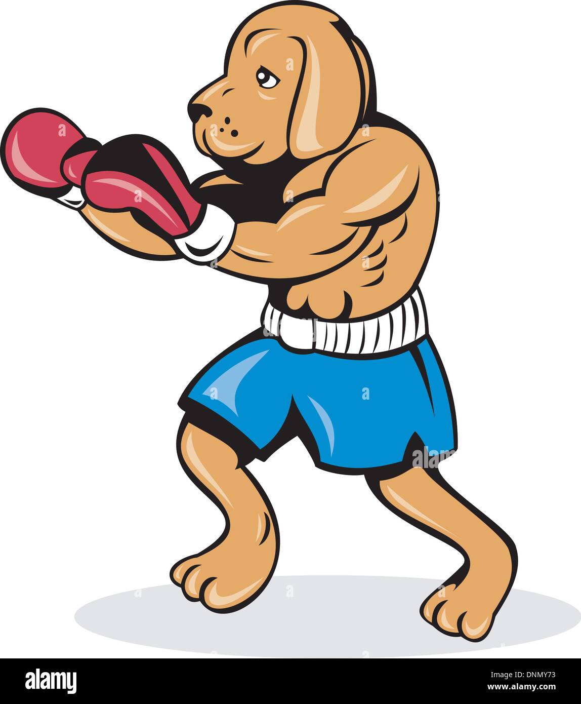Beispiel für einen Boxer Hund mit Handschuhen Stock Vektor