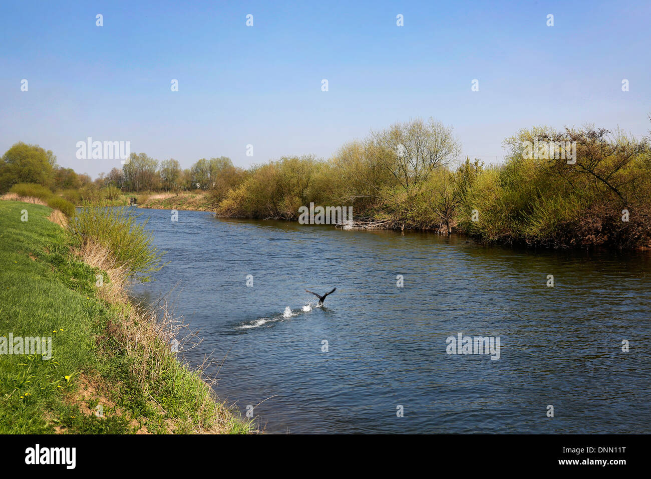 Haltern bin sehen, Deutschland, Blick über die Lippe Stockfoto