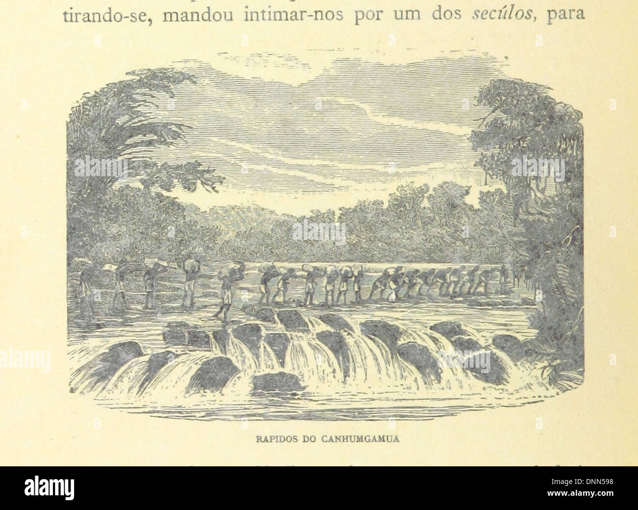 Bild von Seite 142 von 'De Benguella ás Terras de Iácca. Descripção de uma viagem na Africa Central e Occidental ... Expedição organisada nos annos de 1877-1880. edição illustrada’ Stockfoto