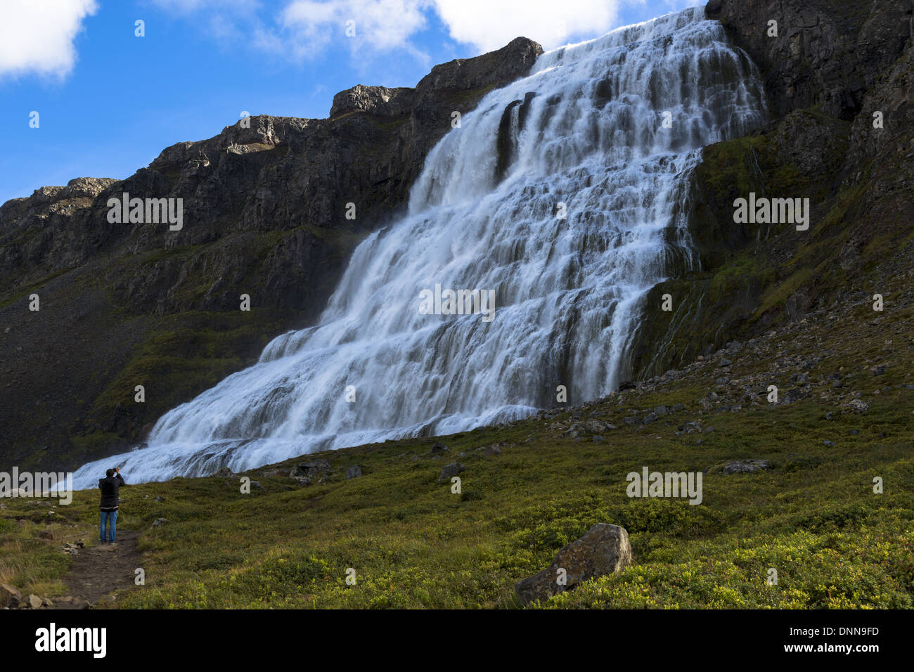 Island. Dynjandi (auch bekannt als fjallfoss) ist ein Satz von Wasserfällen in die Westfjorde (Vestfirdir) Stockfoto