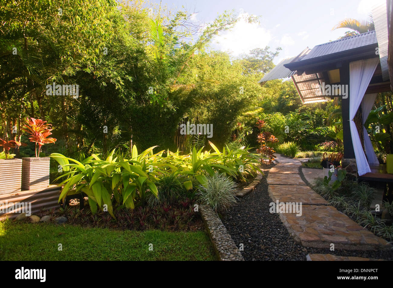 Grundstück am Rancho Pacifico; Uvita, Costa Rica Stockfoto