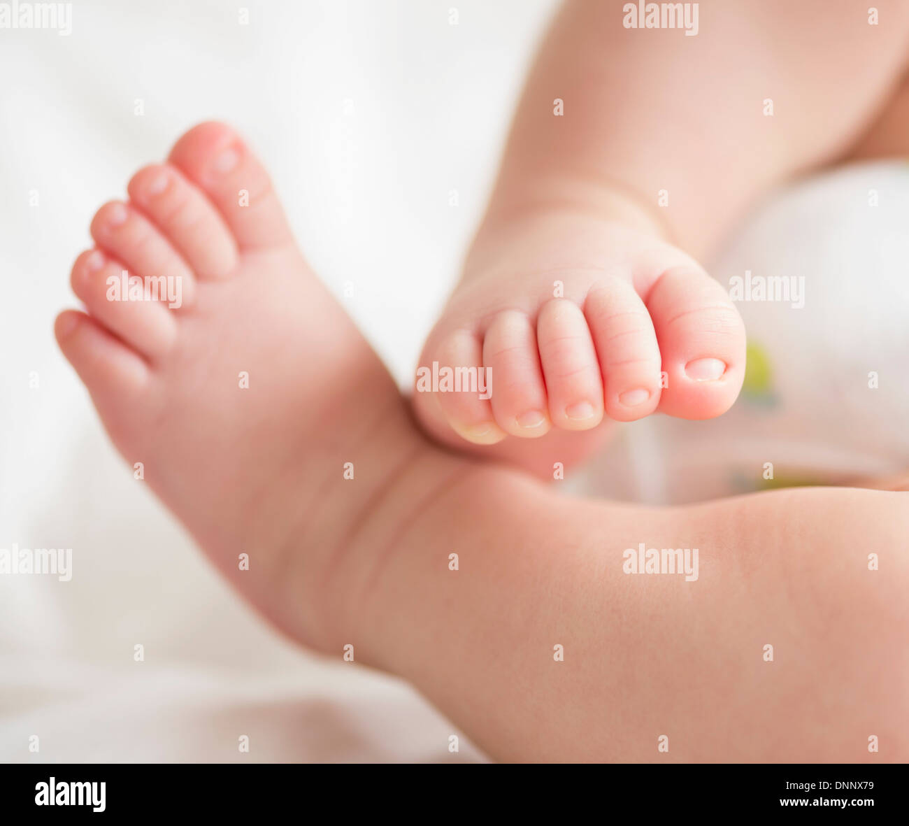 Füße von Baby Boy (2-5 Monate) Stockfoto