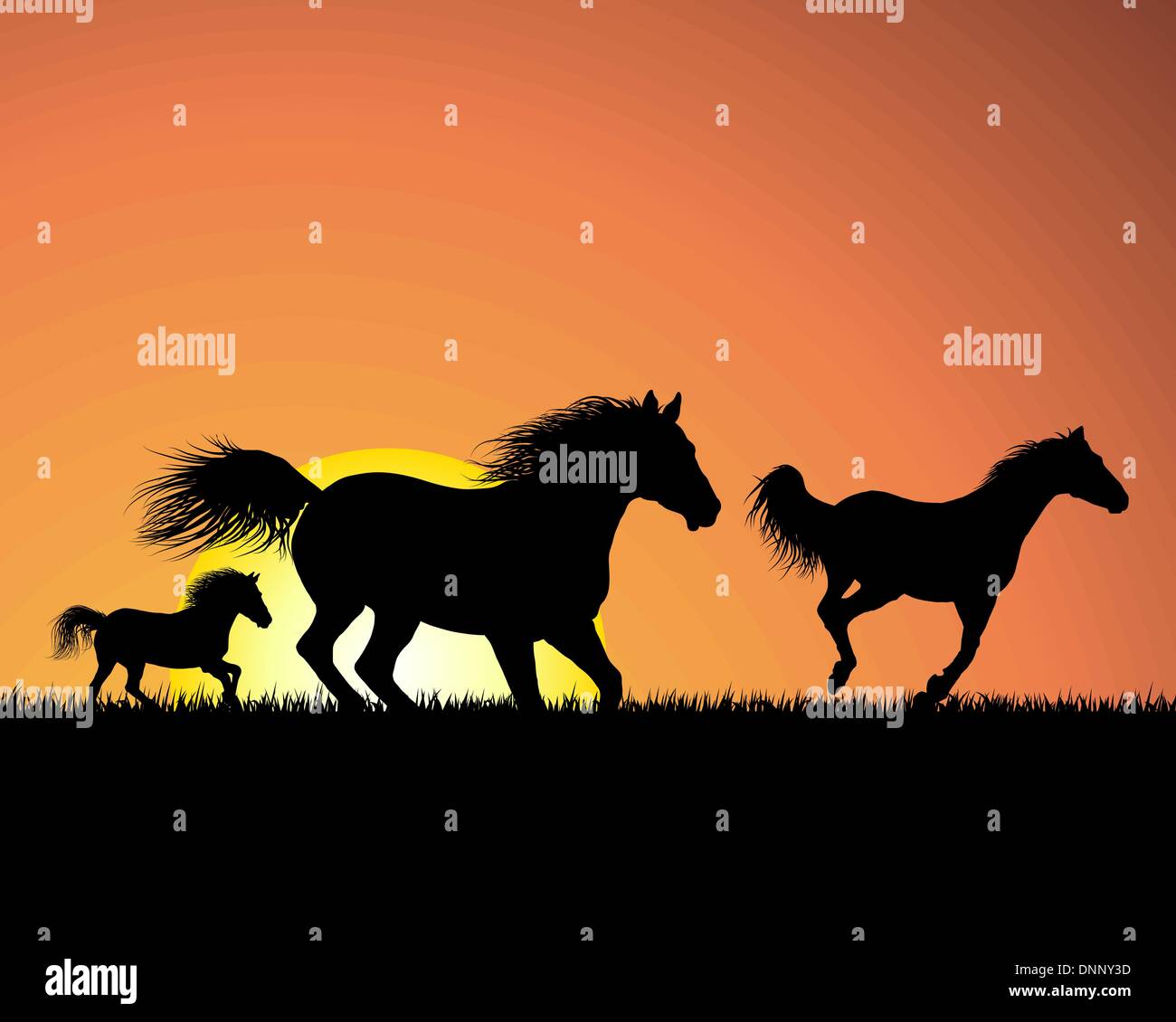 Pferd-Silhouette auf Sonnenuntergang Hintergrund. Vektor-Illustration. Stock Vektor