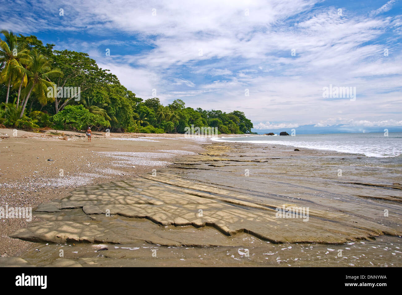 Pazifikküste Strand in Lapa Rios, Costa Rica Stockfoto