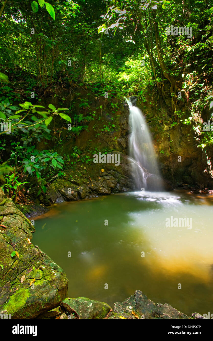 Wasserfall in Lapa Rios, Costa Rica Stockfoto