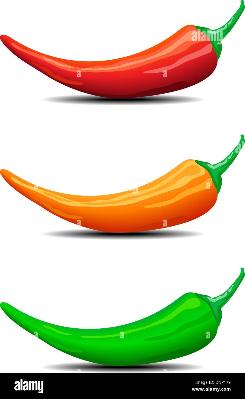 Drei Chilischoten, Paprika, Illustration - rot, grün und Orange Chilis mit Schatten Stock Vektor