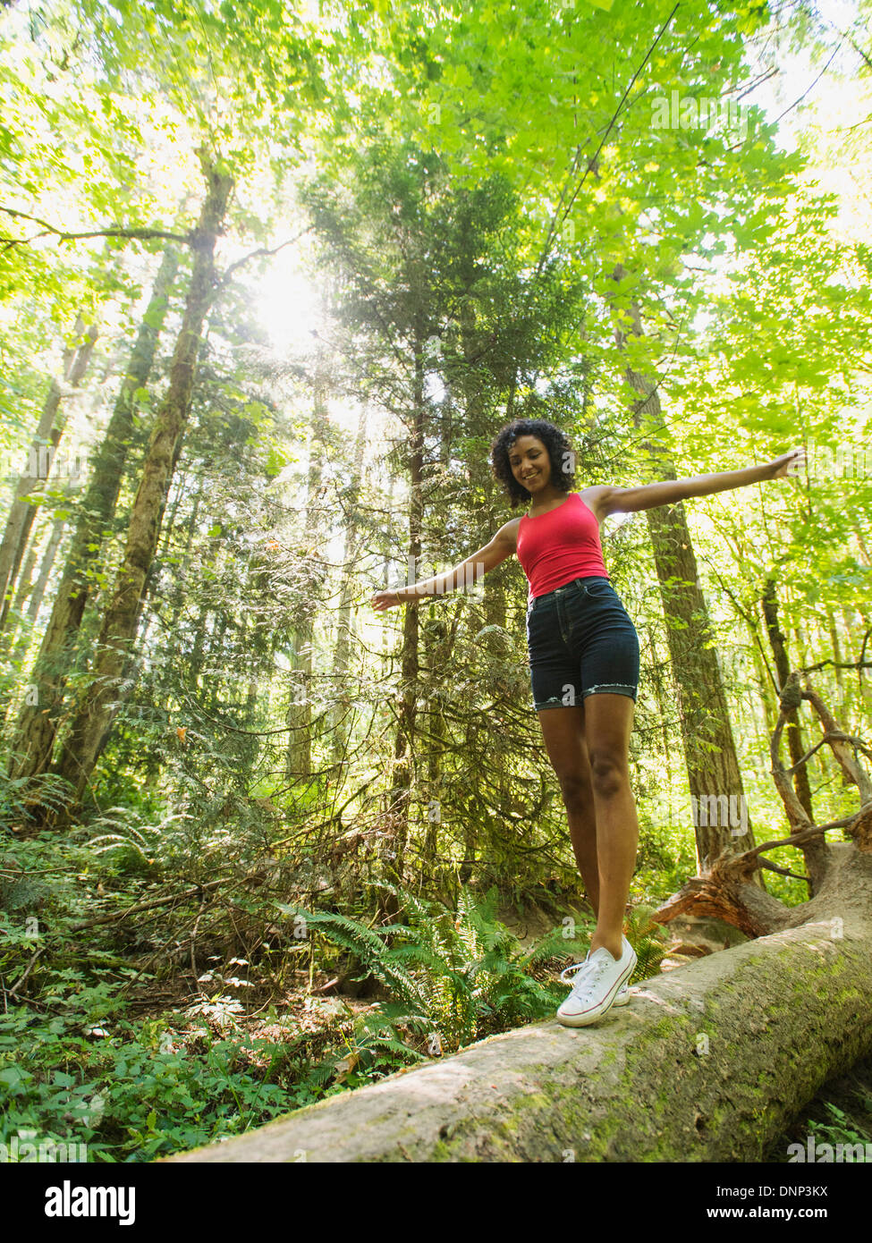 USA, Oregon, Portland, junge Frau, die zu Fuß auf melden Sie sich im Wald Stockfoto