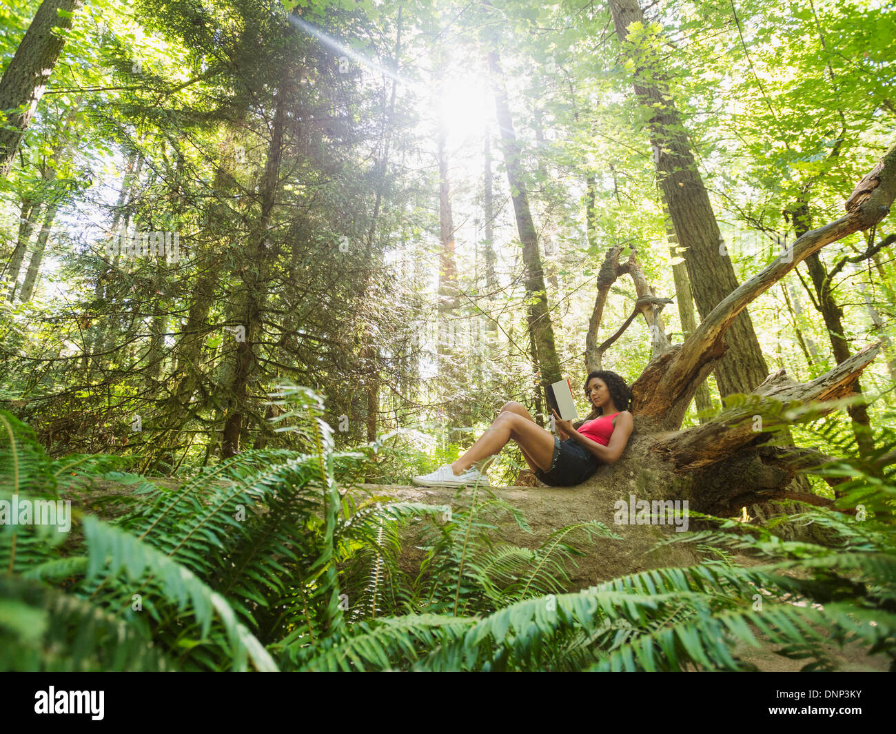 USA, Oregon, Portland, junge Frau Lesebuch auf Log in Wald Stockfoto