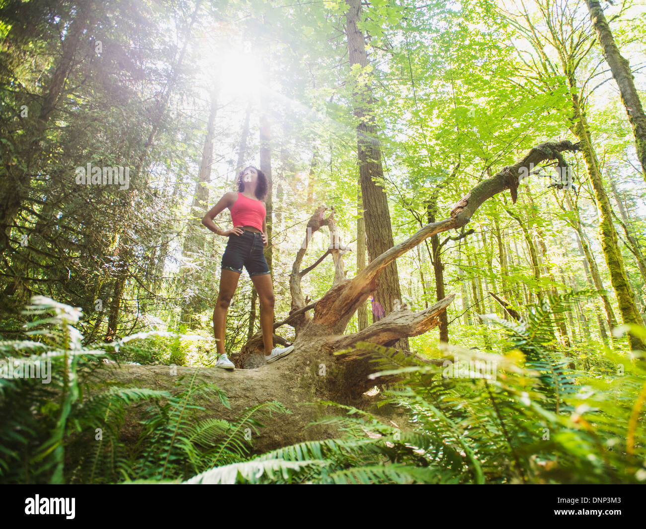 USA, Oregon, Portland, junge Frau auf melden Sie sich im Wald Stockfoto