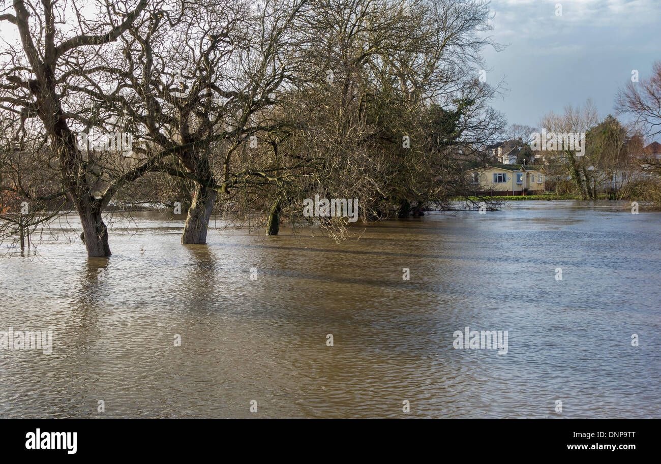 Steigende Hochwasserpegel des Flusses Stour, Iford Brücke Home Park, Christchurch, Dorset, England, UK. Stockfoto