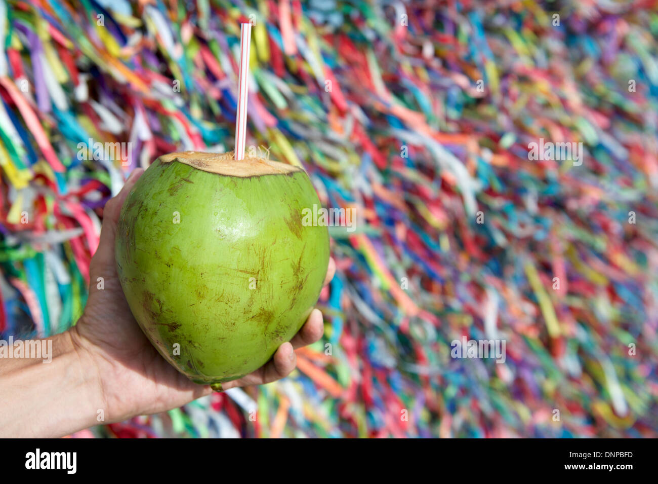 Brasilianische Hand hält Coco Gelado trinken Kokosnuss an Wand des Wunsch Bänder Bonfim Kirche in Salvador Bahia Brasilien Stockfoto