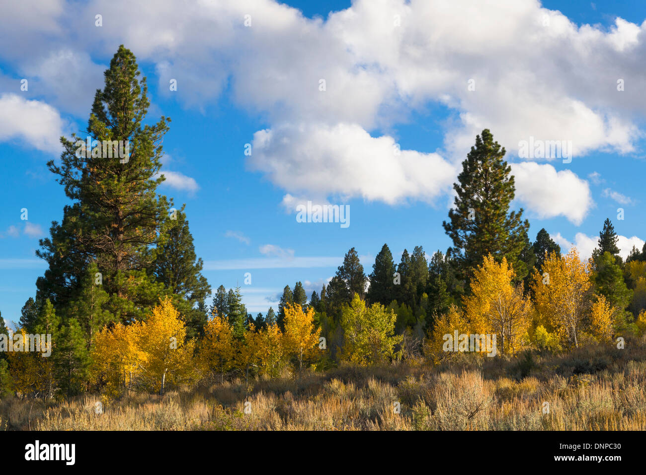 USA, Oregon, Landschaft in Warner Bergen Stockfoto