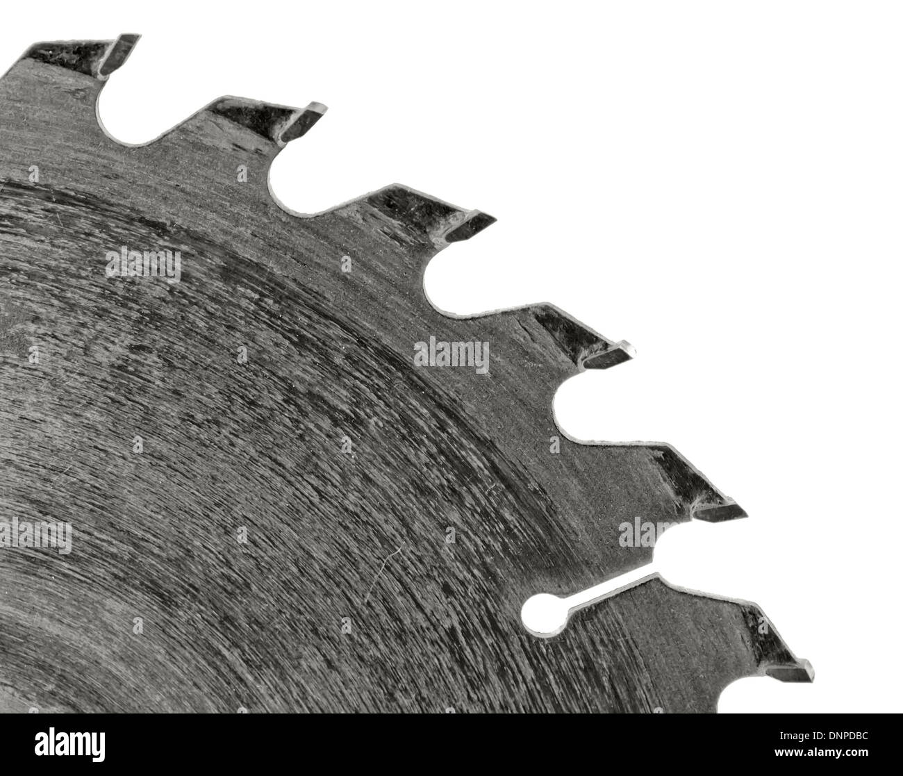 eine Kreissäge Studio isoliert auf weißem Hintergrund Stockfoto